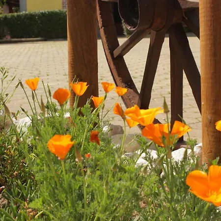 Quinta Sobral Prestige - Little Rustic Hétvégi ház