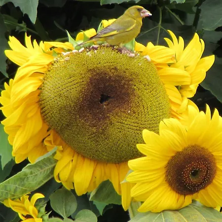 Hétvégi ház Quinta Sobral Prestige - Little Rustic Sobral de Monte Agraço