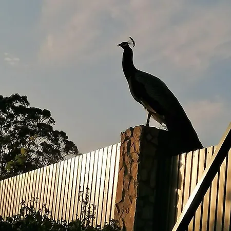 Hétvégi ház Quinta Sobral Prestige - Little Rustic