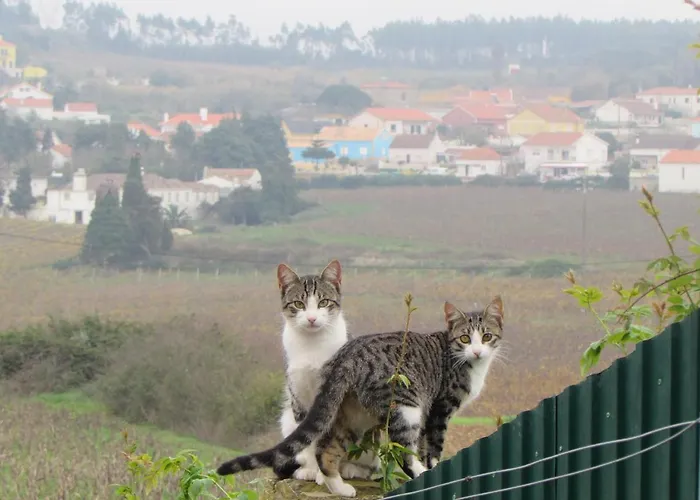 Quinta Sobral Prestige - Little Rustic Landsted *